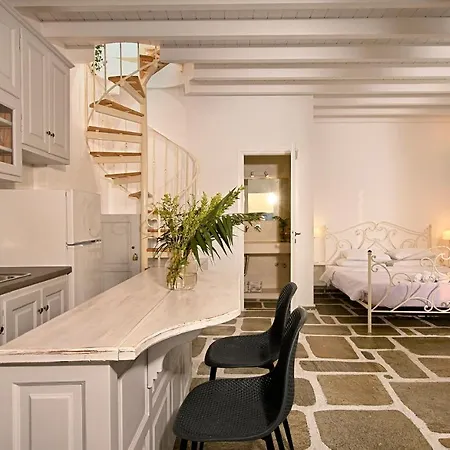 Casa D'irene Mykonian דירה *