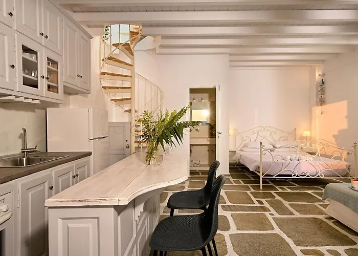 Casa D'irene Mykonian דירה *